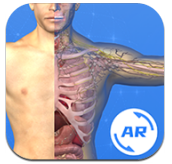 AR人体app|AR人体手机版下载