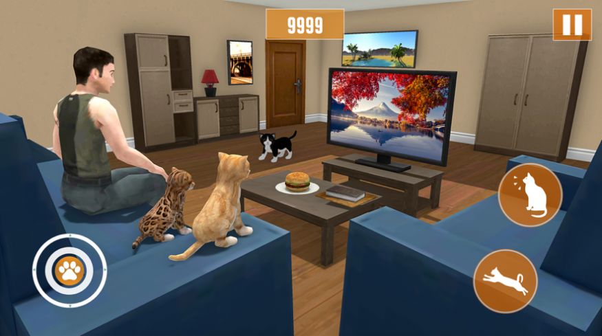 小猫猫模拟器游戏3D中文安卓版 v1.0