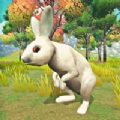 宠物兔模拟器游戏安卓版 v1.0