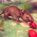 老鼠模拟器猫和老鼠游戏最新版(Mouse Simulator Cat Mouse) v1.0.1